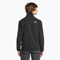 Pánská fleecová mikina The North Face Homesafe Snap Neck Fleece Pullover black 2