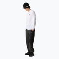 Pánské tričko Longsleeve The North Face Simple Dome white 2