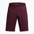 Pánské tréninkové šortky Under Armour Tech Graphic dark maroon/beta 5