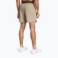 Pánské tréninkové šortky Under Armour UA Vanish Woven 6in timberwolf taupe/black 3