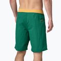 Pánské plavecké šortky  Patagonia Wavefarer Boardshorts conifer green 2