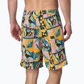 Pánské plavecké šortky  Patagonia Wavefarer Boardshorts island seeds/milkweed mauve 2