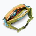 Ledvinka Cotopaxi Allpa X Hip Pack 1,5 l lemongrass/cedar 6