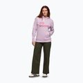 Dámská mikina Cotopaxi Do Good Hoodie antique 2