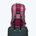 Městský batoh Cotopaxi Allpa Daypack 26 l fig 6