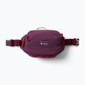 Ledvinka Cotopaxi Empcable Sling 3 l acai