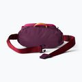 Ledvinka Cotopaxi Empcable Sling 3 l acai 3