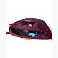 Ledvinka Cotopaxi Empcable Sling 3 l acai 4