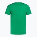 Pánské tenisové tričko Nike Court Dri-Fit Heritage stadium green 2