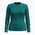 Dámská termoakční mikina Smartwool Merino 250 Baselayer Crew Boxed emerald green 3