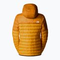 Dámská  bunda  The North Face Terra Peak Hoodie apricot glaze / iron citrus 6