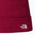 Pánská trekingová čepice The North Face Norm Beanie beetroot 2