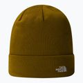 Pánská trekingová čepice The North Face Norm Beanie moss green