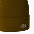 Pánská trekingová čepice The North Face Norm Beanie moss green 2