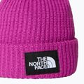 Dětská zimní čepice The North Face Salty deep mulberry 2