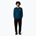 Pánské The North Face Simple Dome Longsleeve midnight petrol 2