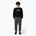 Pánská mikina The North Face Drew Peak Crew black 2