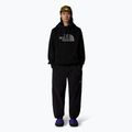 Pánská mikina  The North Face Drew Peak Pullover Hoodie black 2