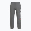 Pánské kalhoty  The North Face Varsity Graphic medium grey heather