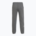 Pánské kalhoty  The North Face Varsity Graphic medium grey heather 2