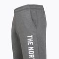 Pánské kalhoty  The North Face Varsity Graphic medium grey heather 3