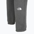 Pánské kalhoty  The North Face Varsity Graphic medium grey heather 4