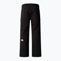 Pánské lyžařské kalhoty The North Face Chakal Short black 5