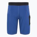 Pánské plavecké šortky Quiksilver Saturn Solid 21" Monaco Blue 7