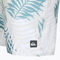 Pánské plavecké šortky Quiksilver Wild Fern Volley 17" 3