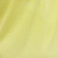 Pánské běžecké tričko HOKA Race Singlet hoka citrus running shirt 9