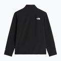 Pánská softshellová bunda The North Face Apex Bionic 3 tnf black-npf 2
