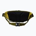 Ledvinka The North Face Terra Lumbar 6 l forest olive/yellow silt 2