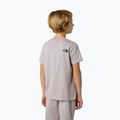 Dětské tričko The North Face Teen Simple Dome Tee moonstone grey 3