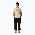 Pánské tričko The North Face Mountain Line Tee gravel 2