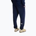 Pánské trekové kalhoty The North Face Simple Dome Light Regular Tapered Jogger summit navy 3