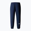 Pánské trekové kalhoty The North Face Simple Dome Light Regular Tapered Jogger summit navy 5