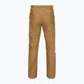 Pánské kalhoty The North Face Limestone utility brown 2