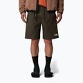 Pánské šortky The North Face Limestone new taupe green