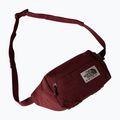 Ledvinka The North Face Berkeley Lumbar 4 l sumac/alpine plum 3