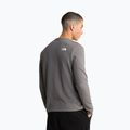 Pánská mikina The North Face Kecha Crew smoked pearl/asphalt grey 3