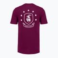 Pánské tréninkové tričko Under Armour Project Rock Badge Of Honor purple 4