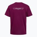 Pánské tréninkové tričko Under Armour Project Rock Terry Q3 purple 2