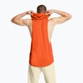 Pánské tréninkové tričko Under Armour Project Rock Payoff SL HD orange 2