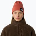 Zimní čepice The North Face Dock Worker Recycled mars dust 3