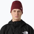 Zimní čepice The North Face Norm Beanie sumac 3