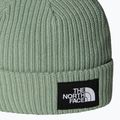 Dětská zimní čepice The North Face Salty Lined 2