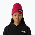 Dětská zimní čepice The North Face Logo Box Cuffed 3