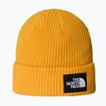 Zimní čepice The North Face Salty Lined
