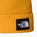 Zimní čepice The North Face Salty Lined 2