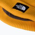 Zimní čepice The North Face Salty Lined 3